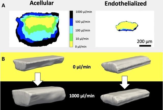 4afbfbedab64034f89a691fdc6864c360b551daa.jpg 4afbfbedab64034f89a691fdc6864c360b551daa.jpg